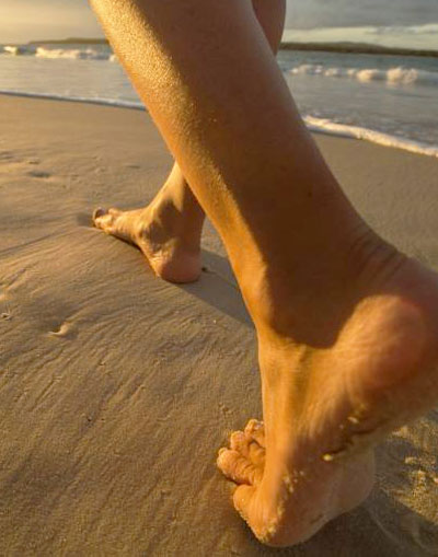Barefoot Bureaucracy